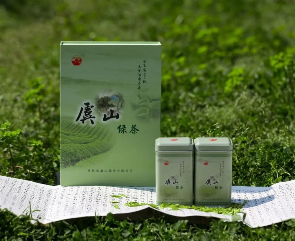 一杯明前虞山绿茶,致敬这个春天!