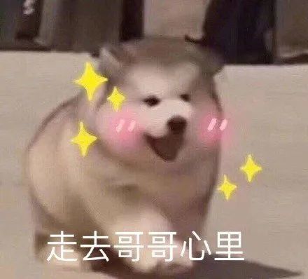 表情包:就不能动一动你那空无一物的脑子