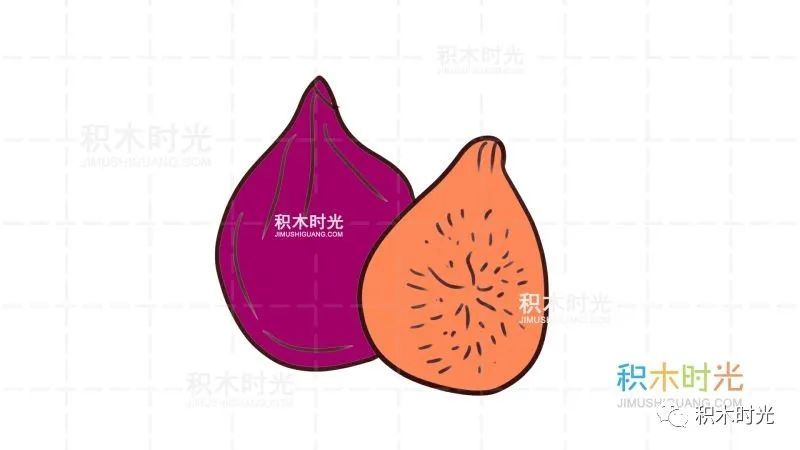 水果简笔画大全:画无花果简笔画