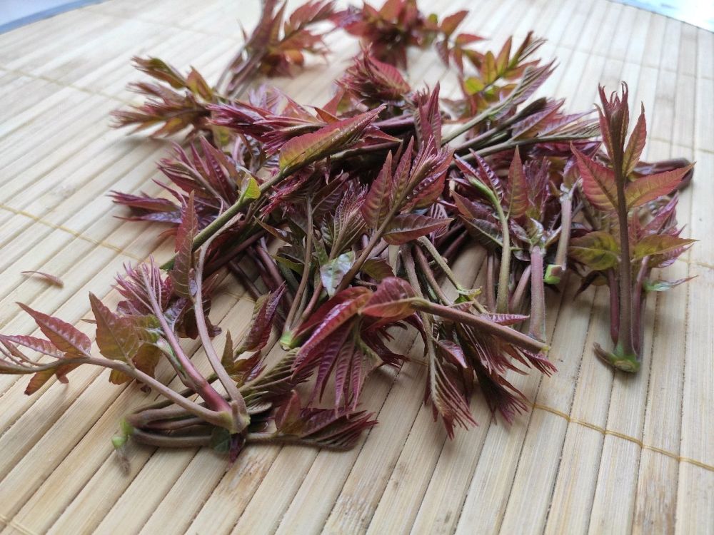 香椿芽散发的味道,就是春天应有的味道,您说是吗?