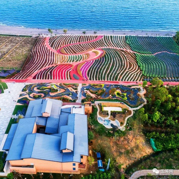 打卡抚仙湖畔新"网红"地标——澄江市规划馆