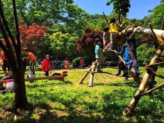 森林教育&户外拓展,你了解多少!