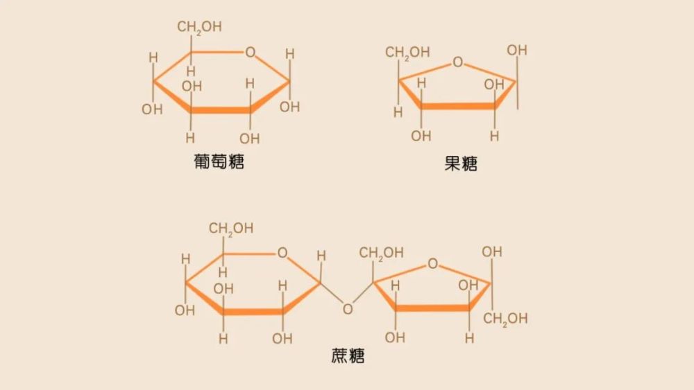 淡黄的蜂蜜,蓬松的菠菜