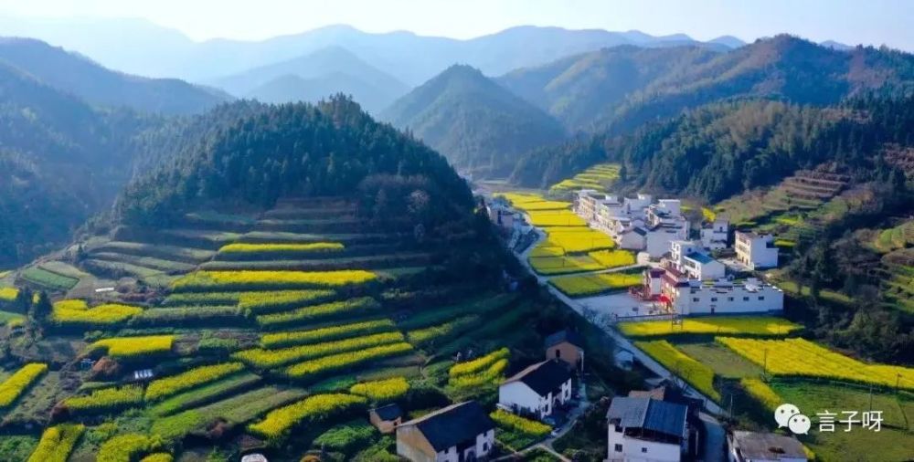瑞昌市,花园乡