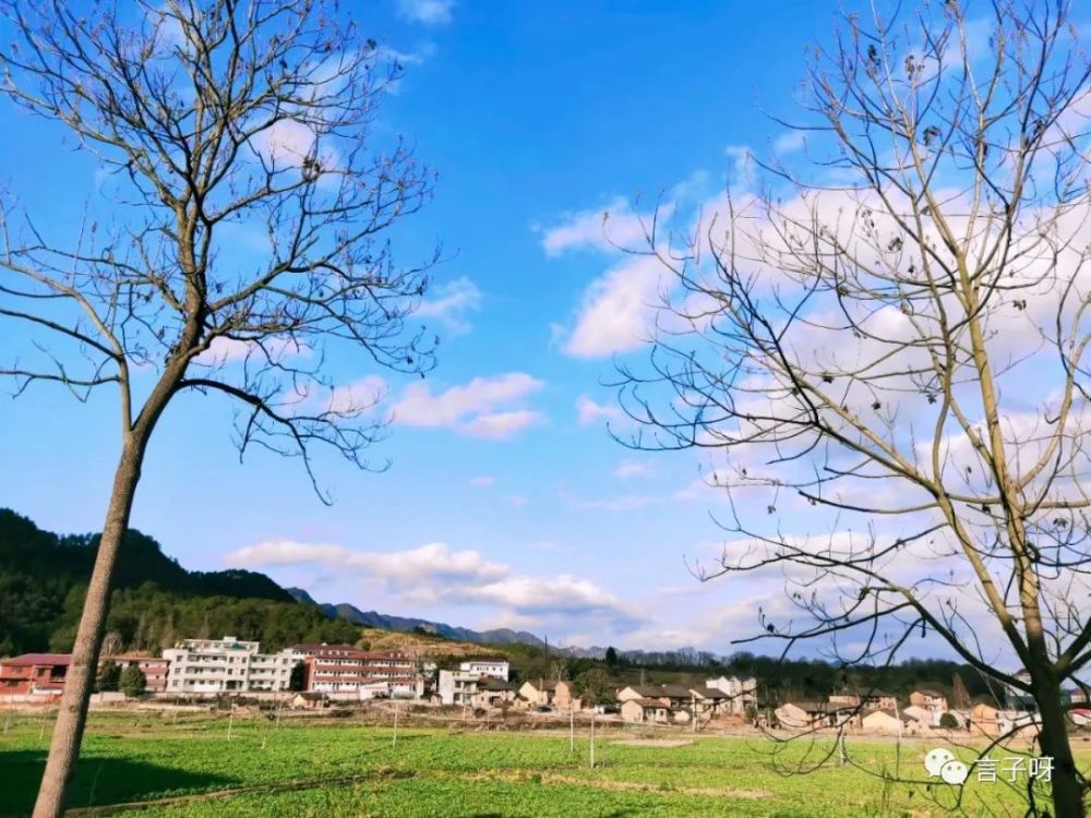 瑞昌市,花园乡
