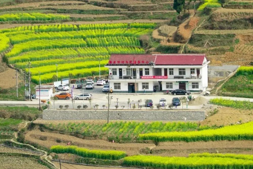 勉县,水坪村,新铺镇,党支部