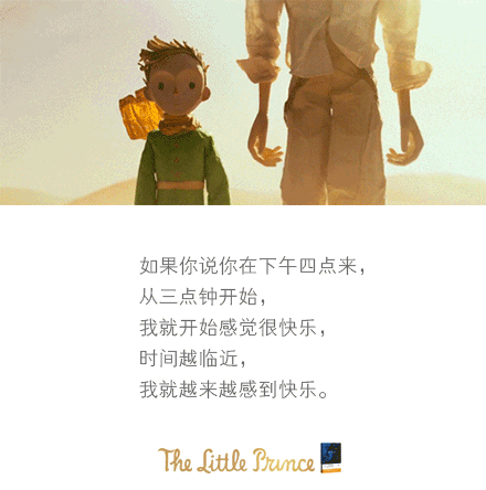 小王子,玫瑰