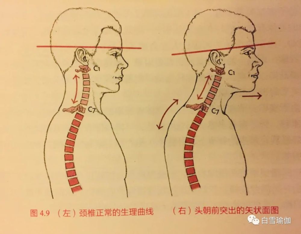 疫情,颈部,臂丛神经,迷走神经,头晕,颈椎