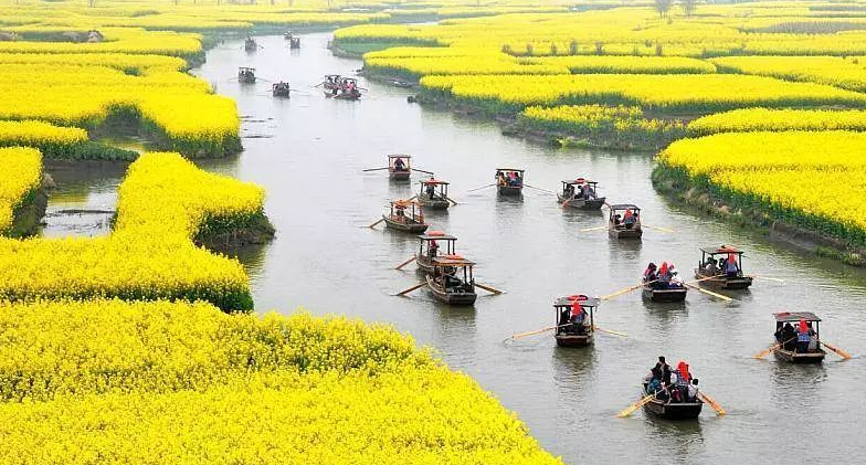 人民网点赞,中国最美水上油菜花田,有"万岛之国"的美誉,终于藏不住了!