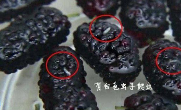 被列入"黑名单"的四种水果,容易感染寄生虫,要少吃!