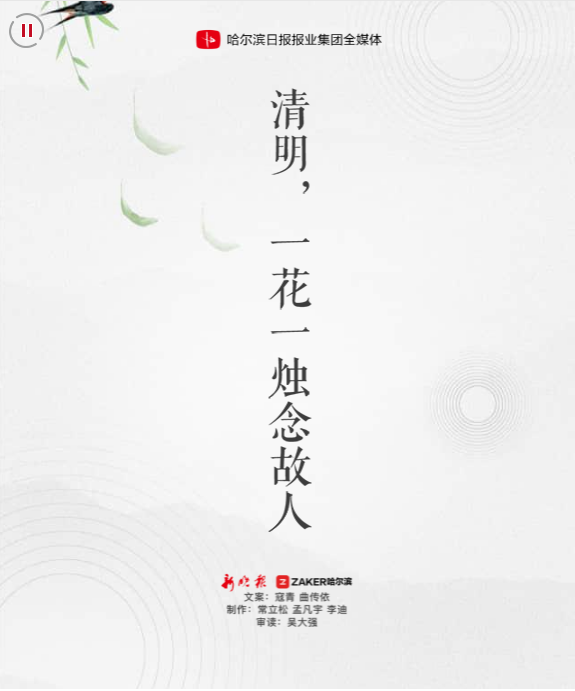 清明,一花一烛念故人