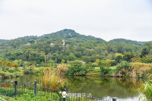 厦门,上李水库