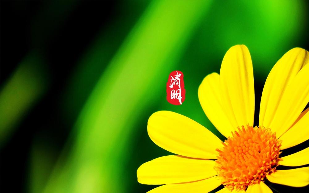 清明节,清明节祝福语,清明节短信,清明节微信