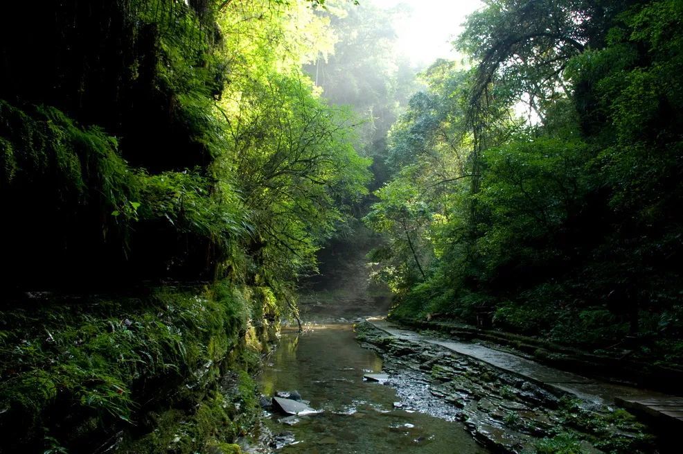 旅游景区,广元,四川,鼓城山,青川县,门票