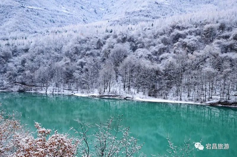 甘肃官鹅沟:四月春雪景如画