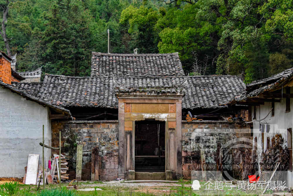 拍植物,拍农村,拍老屋,拍古建筑古村镇这些我们身边亲切的存在,生活