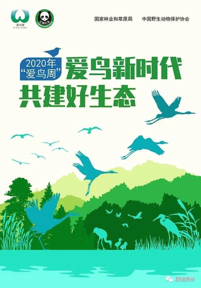 2020年全国爱鸟周主题宣传活动启动