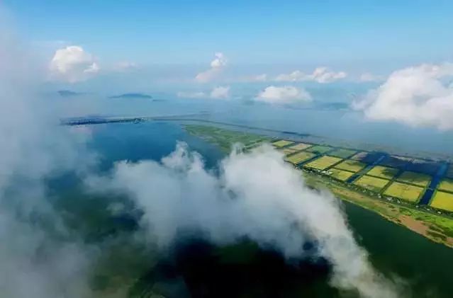 玉环漩门湾国家湿地公园邀你踏春赏景