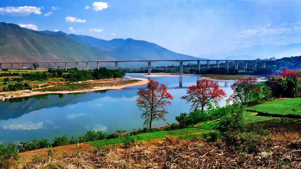 高黎贡山百花岭