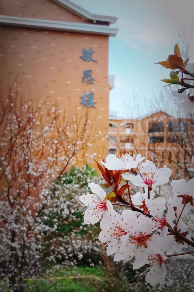 湘府英才小学