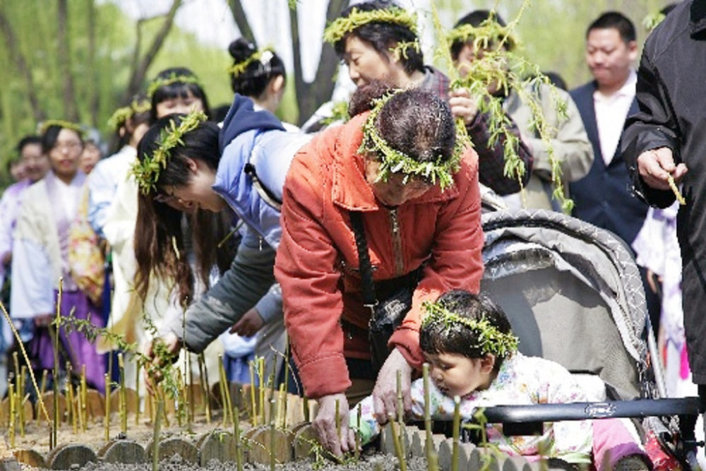 清明节,戴柳,民俗,祭祀,寒食节,晋文公