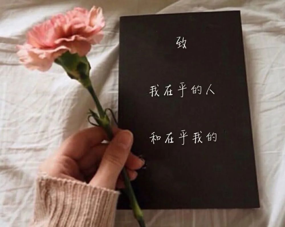 送给在乎我的人一段话