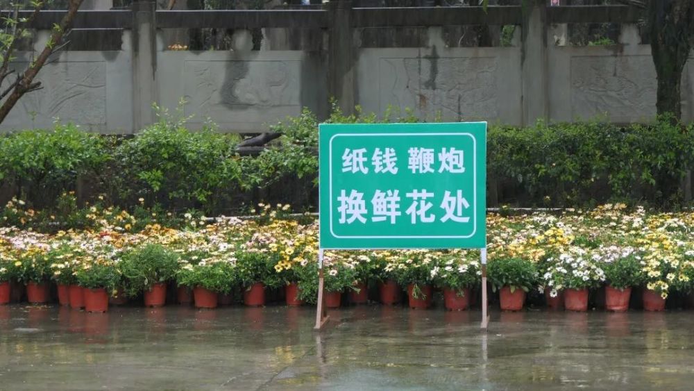 所有天全人 清明节期间禁止焚烧纸钱等祭祀用品
