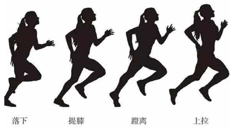中长跑正确的姿势技巧
