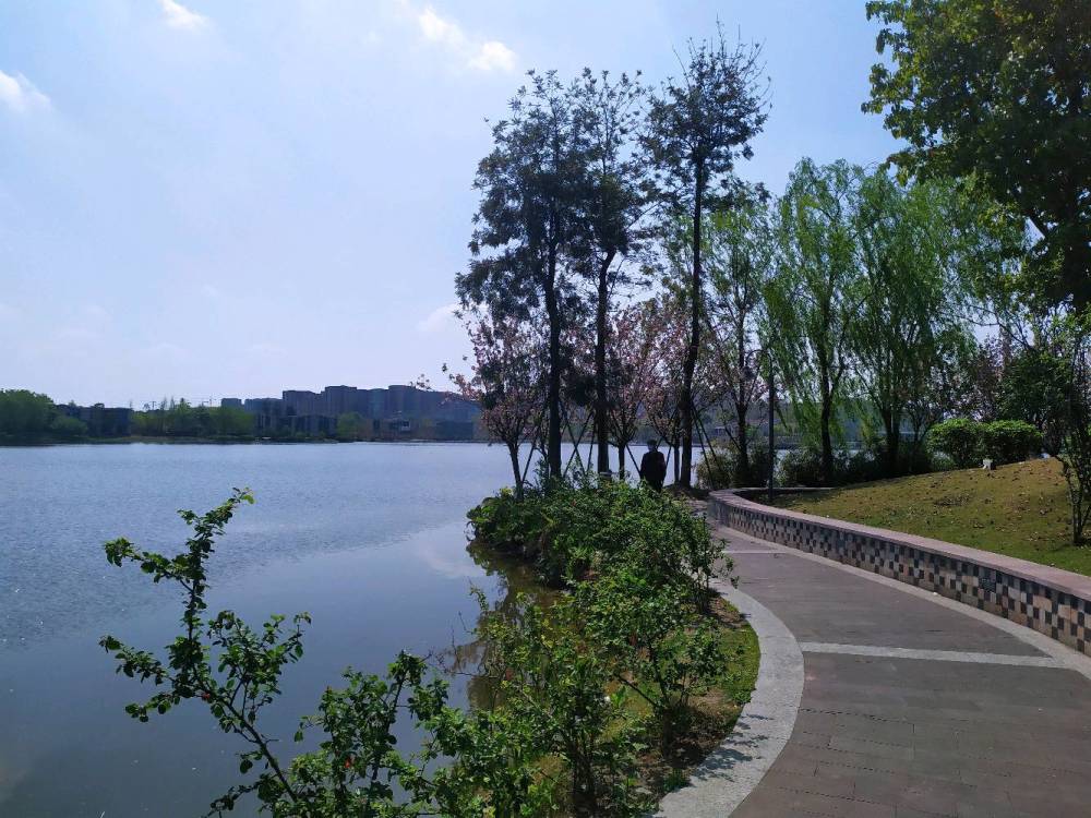 成都,湿地,爱心公园,中心公园,双流,栈道