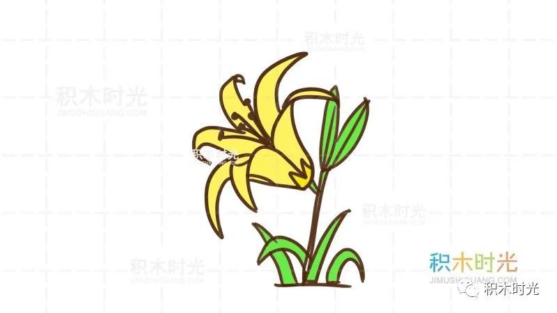 植物花卉简笔画大全:画百合花简笔画