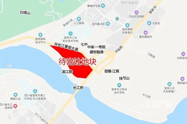 4月底,宜宾临港鼠年第一拍来了!