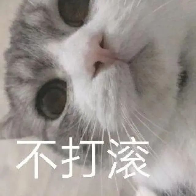 5表情包你给我滚出去
