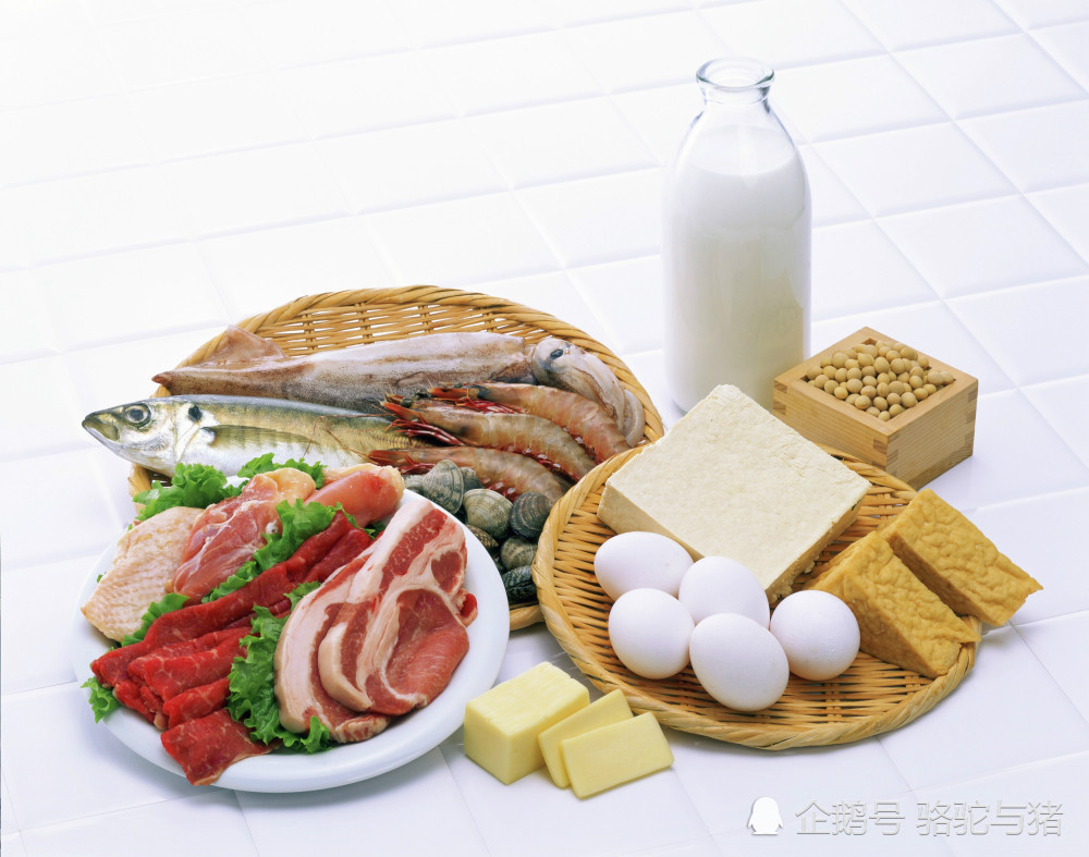1,高蛋白质低脂肪类的食物有哪些?