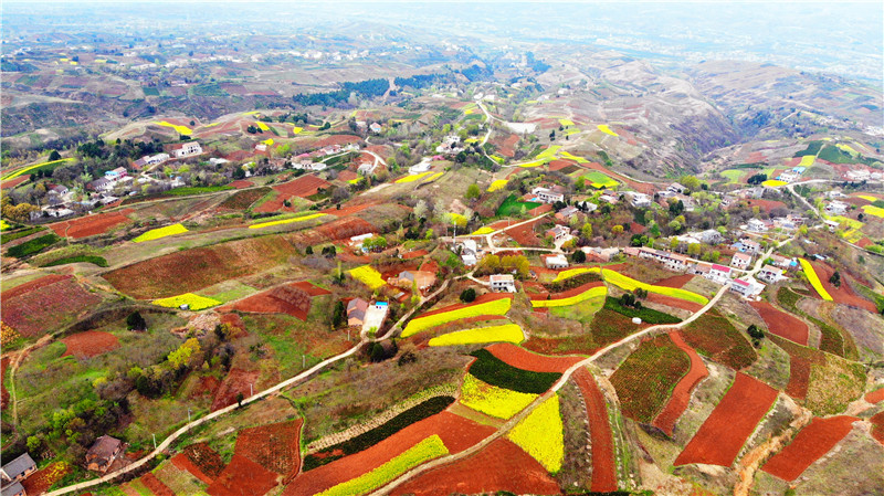 空中俯瞰西安蓝田县玉山镇,九间房镇的油菜花 大地油彩画板
