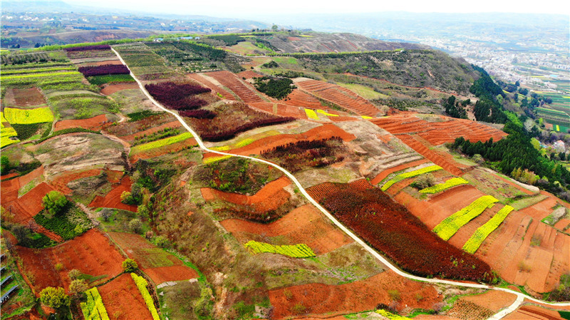 空中俯瞰西安蓝田县玉山镇,九间房镇的油菜花 大地油彩画板