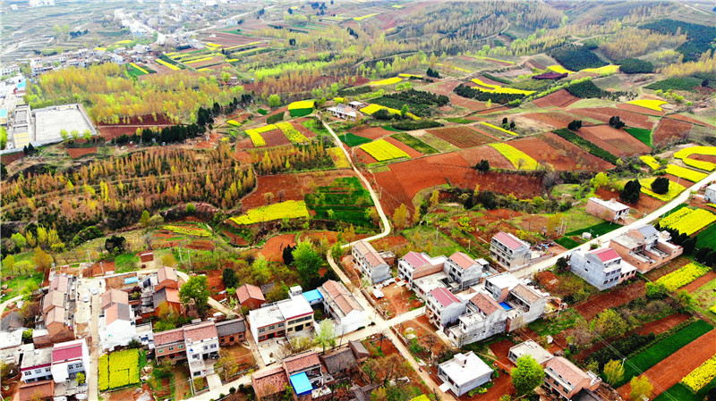 空中俯瞰西安蓝田县玉山镇,九间房镇的油菜花 大地油彩画板