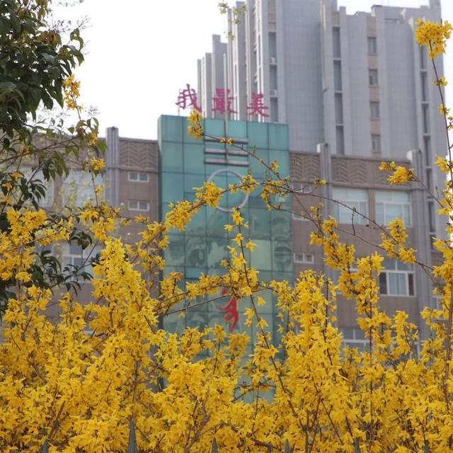 春已来,花已开 最美校园之诸城