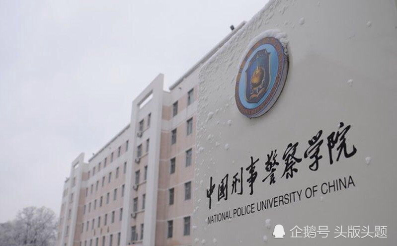 中国刑事警察学院,法医秦明,公安部,秦风