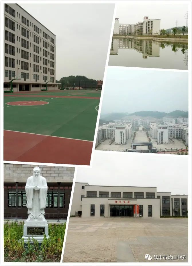 龙山中学校园的花开了,你来吗?想你了