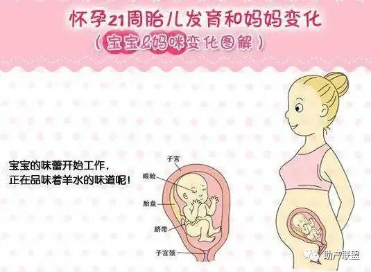 怀孕以后这里难受,那里也难受该怎么缓解?孕妈可以这样做