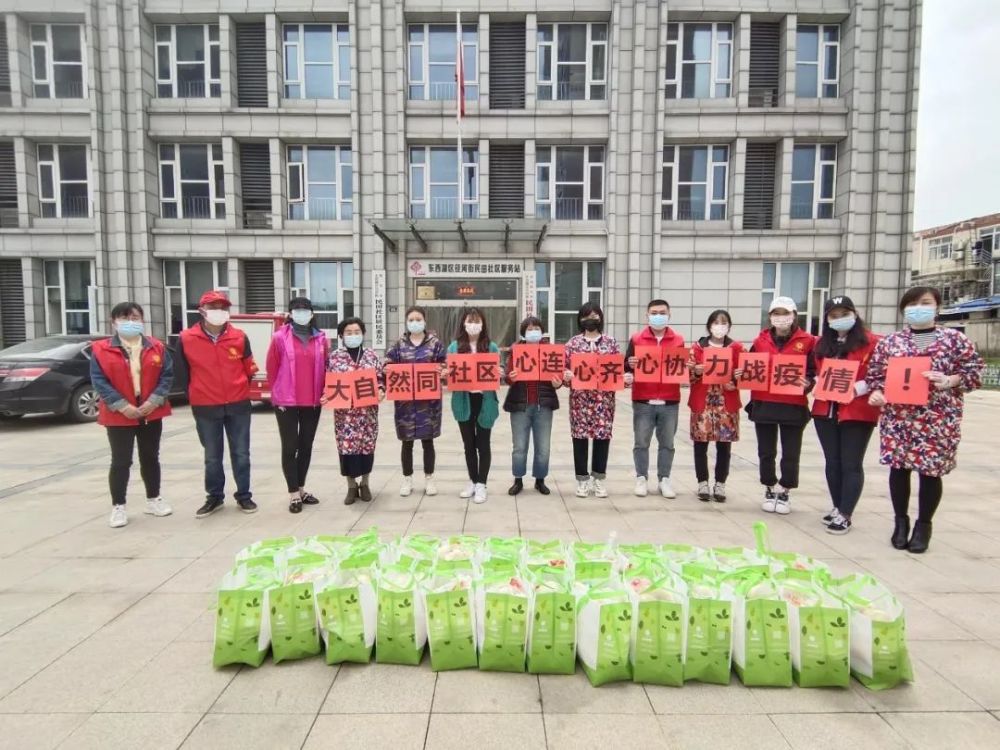 徐菊珍,东西湖区,武汉市妇女联合会,妇联,走马岭