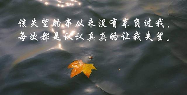 一个人有的时候真的很好,没有背叛,没有失望,没有辜负