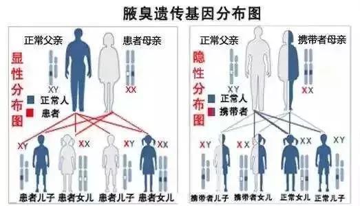 壹知肤:同事有狐臭该提醒他吗?