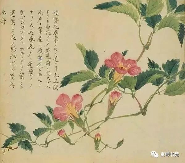 工笔,构图