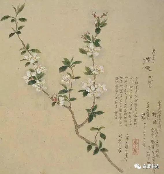 工笔,构图