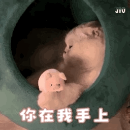 最火表情包抖音怼人搞笑表情包