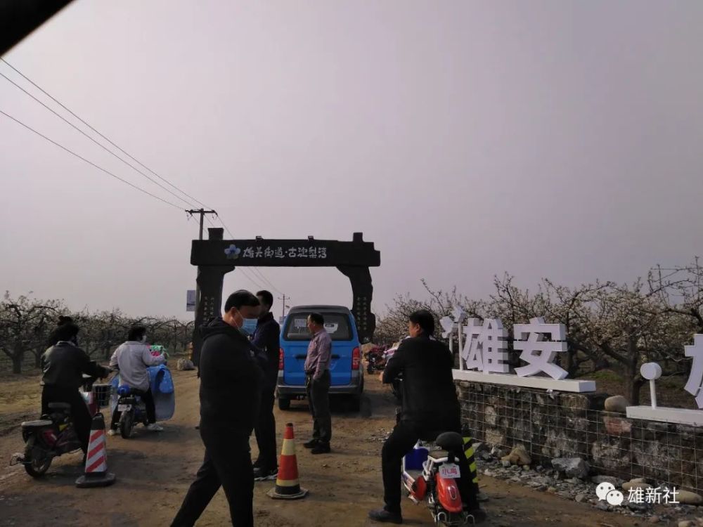 梨园,雄安,马蹄湾村,常庄村,黄湾村