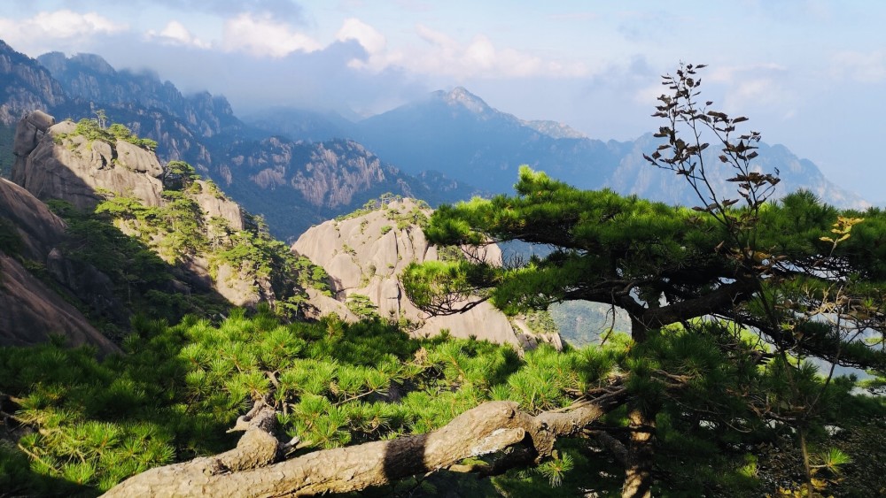 黄山,旅游,五岳,5a景区,免费