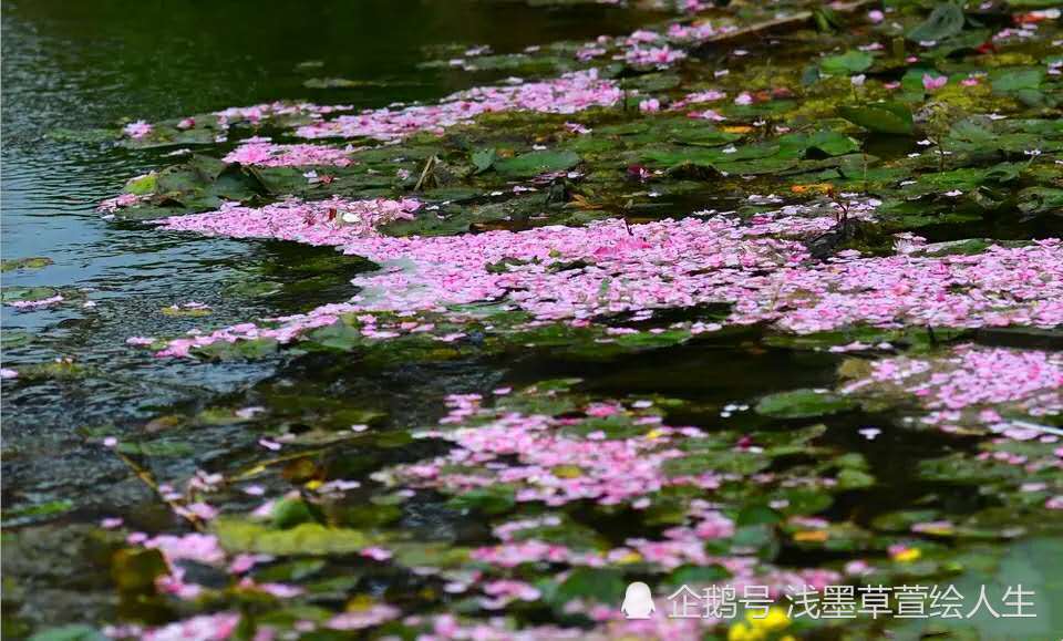 浪淘沙,落花有意,流水无情