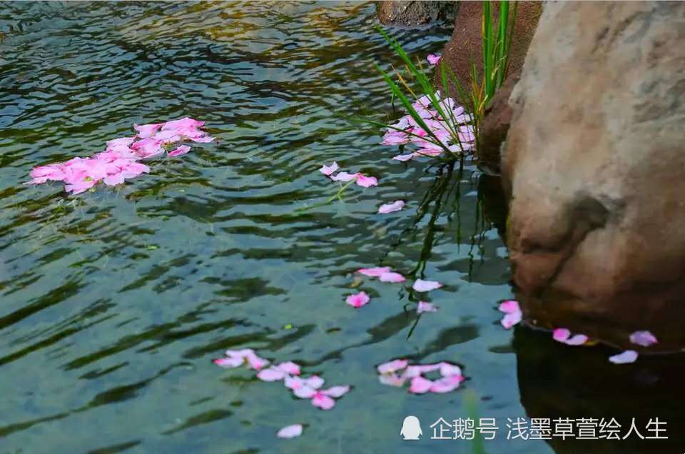 浪淘沙,落花有意,流水无情